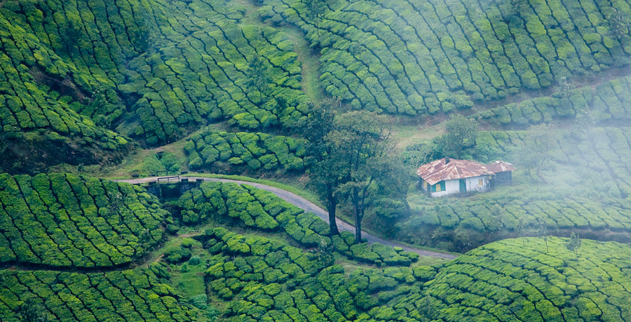 munnar